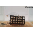 Vaďo - Szárított pinky melaszban 250gr