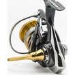 Daiwa - Exceler LT 3000D-C