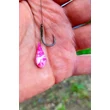 Feedermania - SNAIL AIR WAFTERS TWO TONE X-S Pineapple