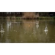Matrix - Finesse Pellet Waggler 9mm 8gram (2x)