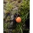 Fox Előkötött Horogelőke Edges Spinner Rig - 4 (x3)