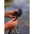 FOX Black Label QR Powerpoint Bankstick 9"