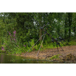 FOX Ranger MKII 4 Botos Rod Pod - CAMO