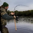 Max Nollert - Carp Rod Temptation TEN - 10ft / 3LB