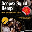 Nash - Scopex Squid Hemp 500ml