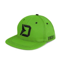 Delphin - RAWER SnapBack sapka