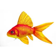 Gaby Halas párna Aranyhal 60 cm