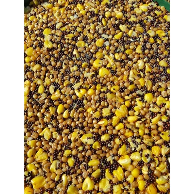 Poseidon Főtt 3 Mag Mix 3kg (Kukorica,tigris mogyoró,kender)