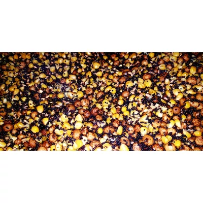 Poseidon Extreem Carp Főtt 5 mag mix 3kg